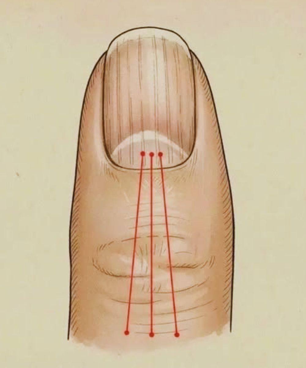 651706092 4454646638155422 8339100348654093899 n