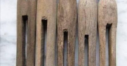 651761105 903170809196173 304190944403901763 n