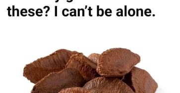 652202052 4314781338769166 5388708116427768448 n