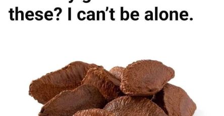 652202052 4314781338769166 5388708116427768448 n