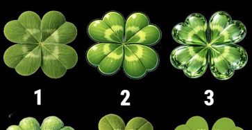 652326791 1495801738605187 3353950589380566051 n