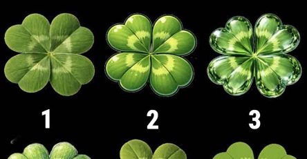 652326791 1495801738605187 3353950589380566051 n