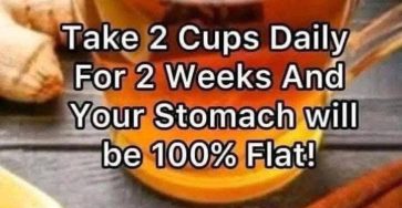 652521737 4458968851094607 8238090029488055938 n