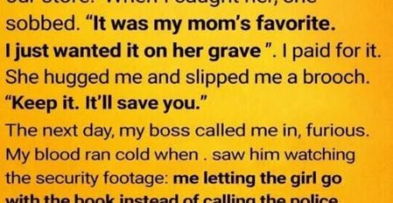 652677183 122125588959131316 4914579021277866188 n