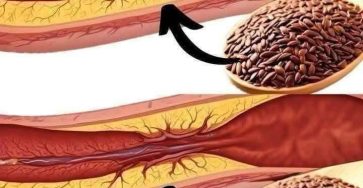 653873737 2439119546538422 3422106995828157214 n