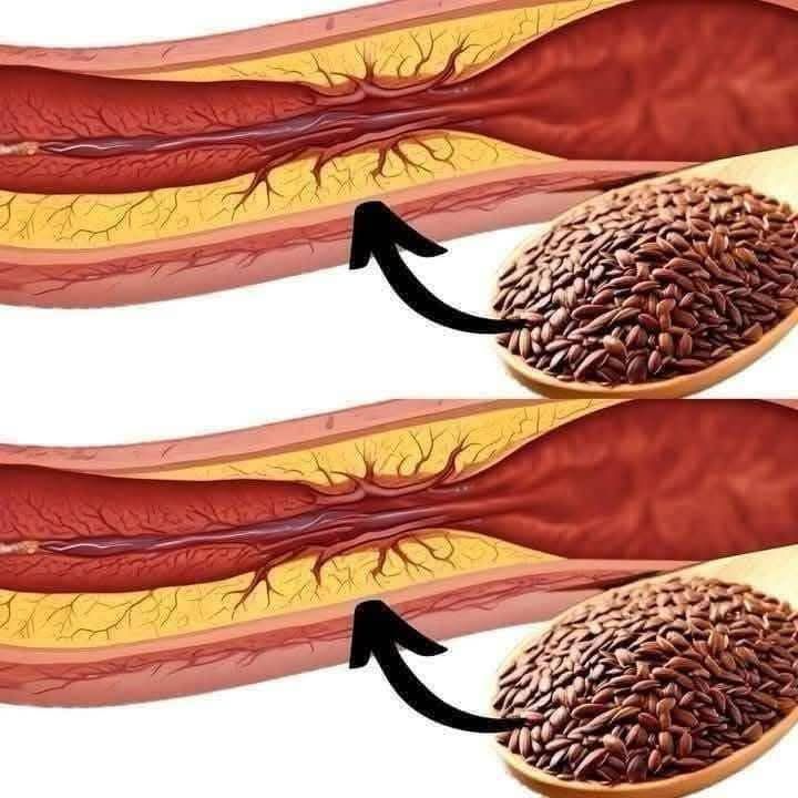 653873737 2439119546538422 3422106995828157214 n