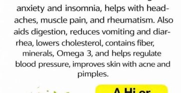 654213147 4461252120866280 8038996251464955889 n