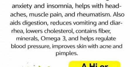 654213147 4461252120866280 8038996251464955889 n