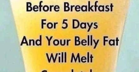 654319248 4460754547582704 9032782728985887397 n