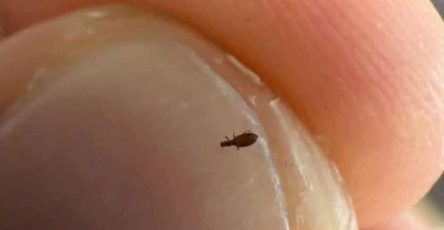 654881651 2203752143364146 443385601631522150 n