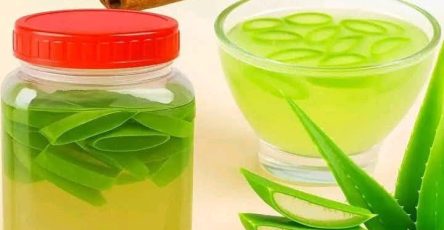 655113701 4463071214017704 6709669159746356046 n