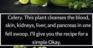 655154351 4461821237476035 1860863674302119588 n