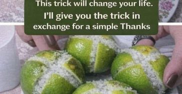 655163124 4464108010580691 7689364203025962104 n