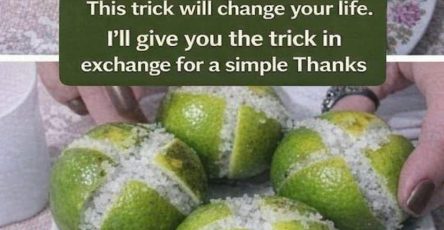 655163124 4464108010580691 7689364203025962104 n