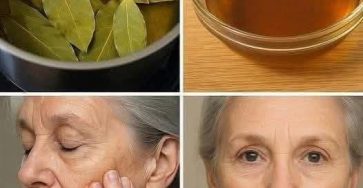 655288285 4464184903906335 5207643023388783833 n