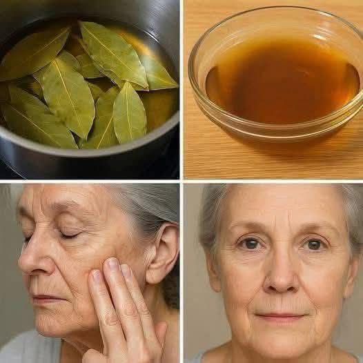 655288285 4464184903906335 5207643023388783833 n