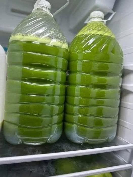 655588463 4464369587221200 5047630763222739129 n