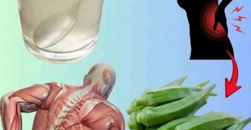 655647141 4462181964106629 4431331850974093131 n