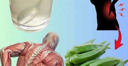 655647141 4462181964106629 4431331850974093131 n