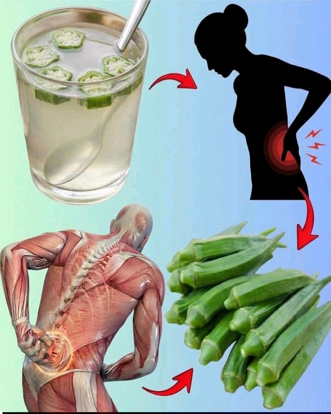 655647141 4462181964106629 4431331850974093131 n