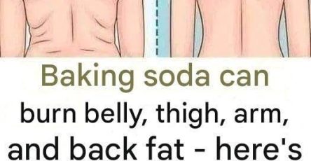 655672188 948810228099664 7094443704218168324 n