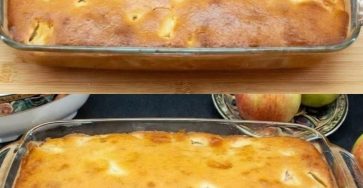 655750246 122103063369023520 701089554929375754 n