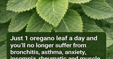 655759369 4462689177389241 6202524224667069203 n