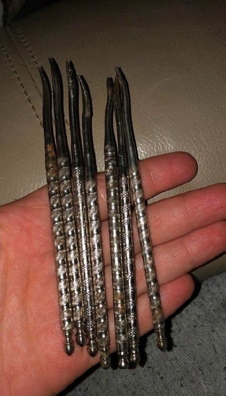 655919706 2891134504570460 1541120869664788340 n