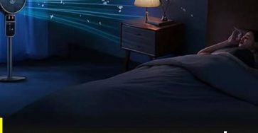 656030383 1489331636317870 6955578724204827051 n