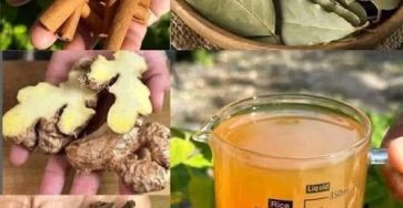 656041813 4464370767221082 7226258014465183276 n