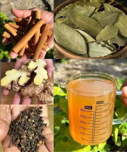 656041813 4464370767221082 7226258014465183276 n