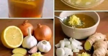 656299442 4464186637239495 3236384415600719780 n