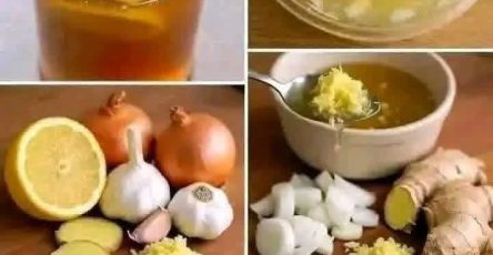 656299442 4464186637239495 3236384415600719780 n