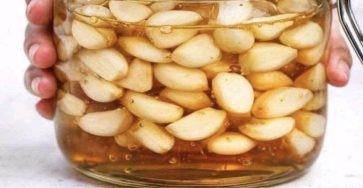 656299445 4465089593815866 316496760622058610 n