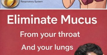 656815666 886460427752461 7011516832242700445 n