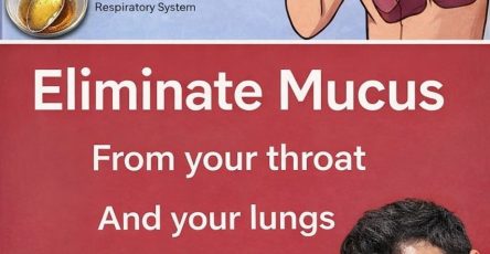 656815666 886460427752461 7011516832242700445 n