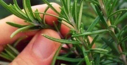 657364435 122107502295277084 2989625700752121585 n