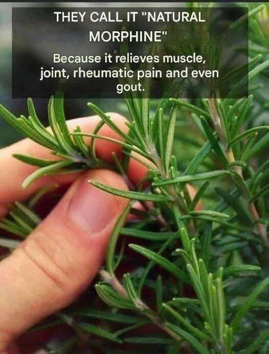 657364435 122107502295277084 2989625700752121585 n