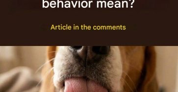 659691734 3986955751596631 3933656790580076454 n