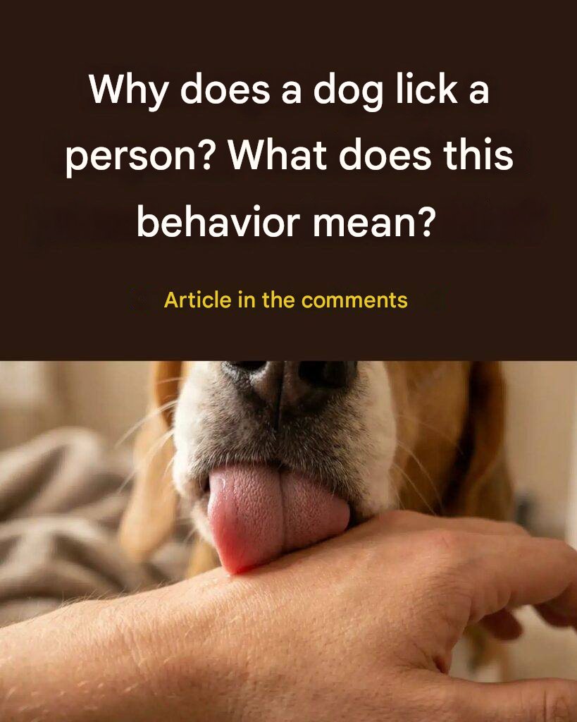 659691734 3986955751596631 3933656790580076454 n