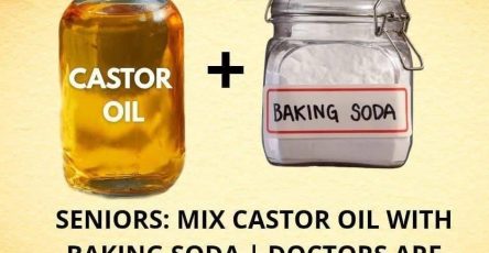 660523577 1284151237119919 1157667943205828620 n