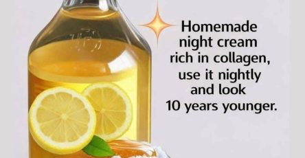 660563537 1790293312376356 1250886953316491638 n