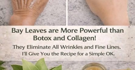 663059353 846960234996044 3462261009199030038 n