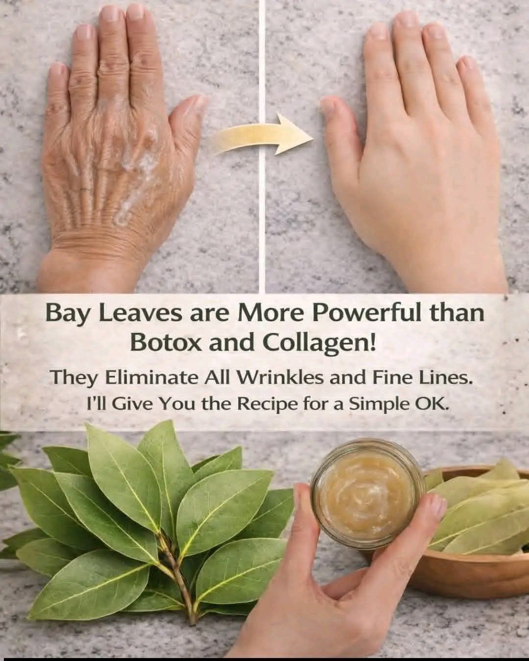 663059353 846960234996044 3462261009199030038 n