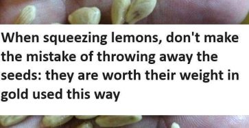 8 appareils qui consomment de lelectricite meme lorsquils sont eteints Copie 4 61 269 104