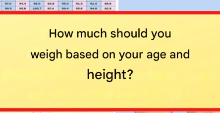 9e1b7ab8 2474 4bf4 babb a2a5a7ec7025