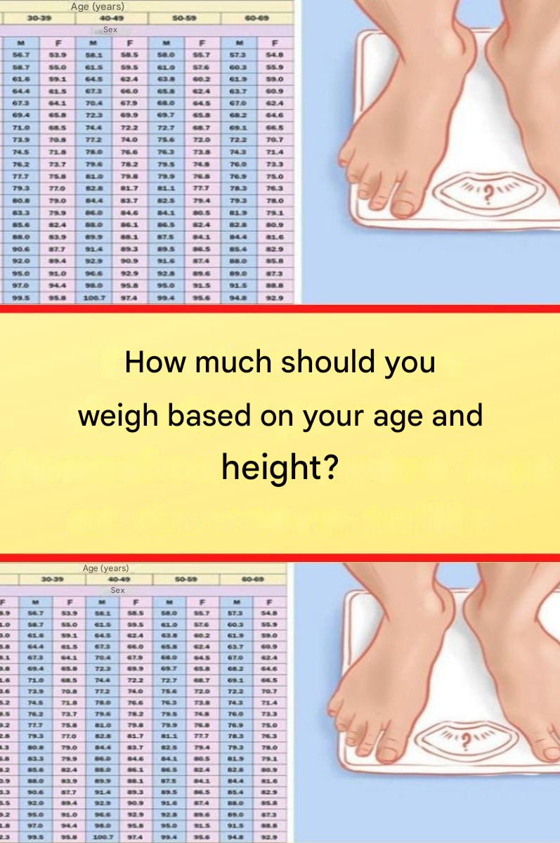 9e1b7ab8 2474 4bf4 babb a2a5a7ec7025