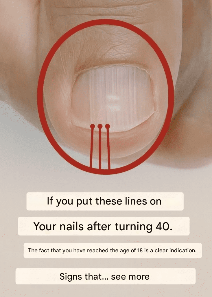 Capture decran 2025 10 02 083249