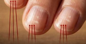 Capture decran 2026 02 27