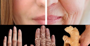 Capture decran 2026 03 01